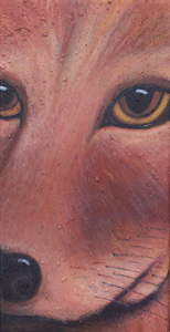 Coyote Eyes by Jane Cassidy