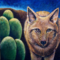 Desert Spirit Guide by Jane Cassidy