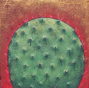 Cactus Sunrise by Jane Cassidy