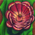 Desert Rose by Jane Cassidy