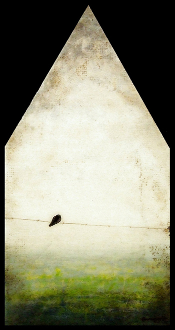 Black Bird Blue House bu Corey Horne