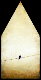 Blue Bird Cream House by Corey Horne