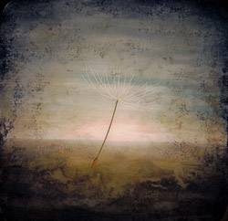 Journey with a Purpose by Corey Horne