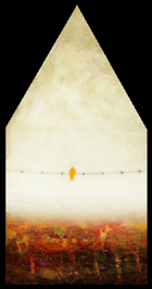 Yellow Bird Red House by Corey Horne