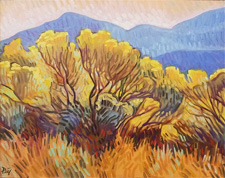 St. Francis Aspen by Brad Price