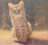 Bob by Kat Sawyer
