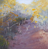 Chamisa Trail by Kat Sawyer