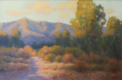 Cottonwood Twilight by Kat Sawyer