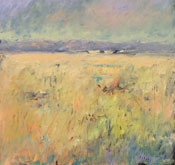 Open Field by Kat Sawyer