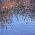 Warm Reeds by Kat Sawyer
