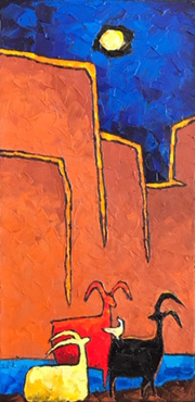 Canyon Message by Jill Shwaiko
